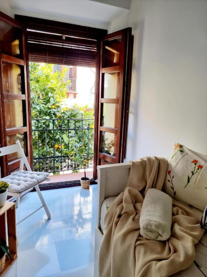Hostfy Mercado De Triana Sevilla Exteriér fotografie